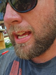 Austen stevens
