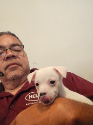 Andres Morales Jr